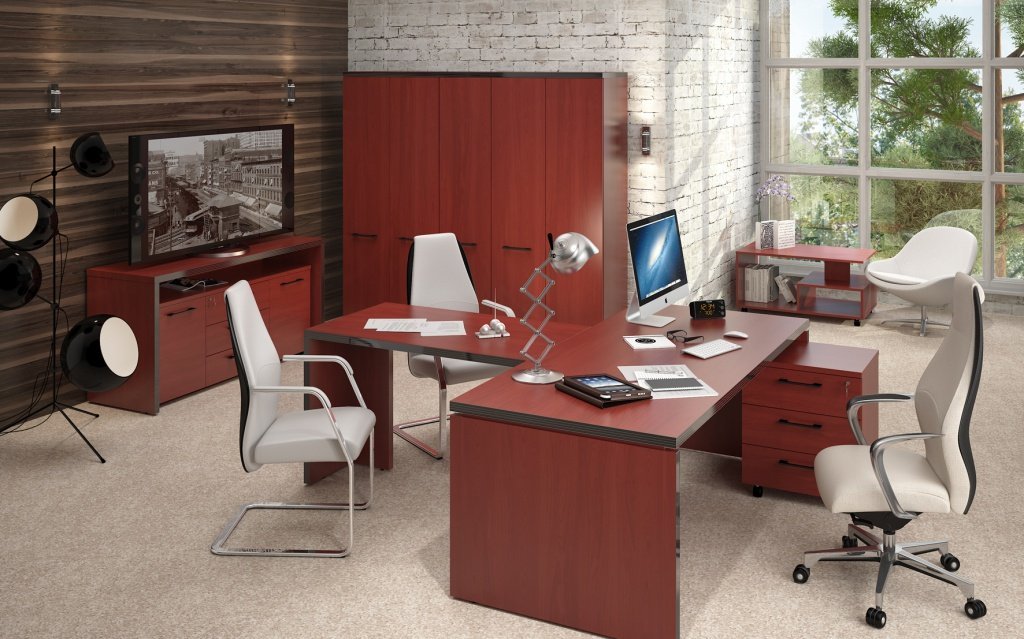 Кабинет для руководителя &laquo;TORR&raquo; - вид 8